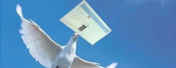 局域网聊天软件(内网聊天软件)