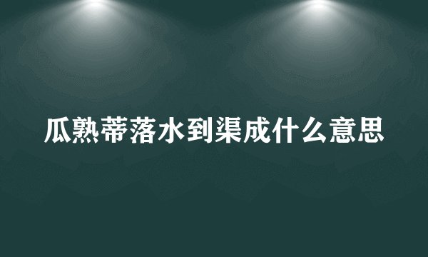 瓜熟蒂落水到渠成什么意思