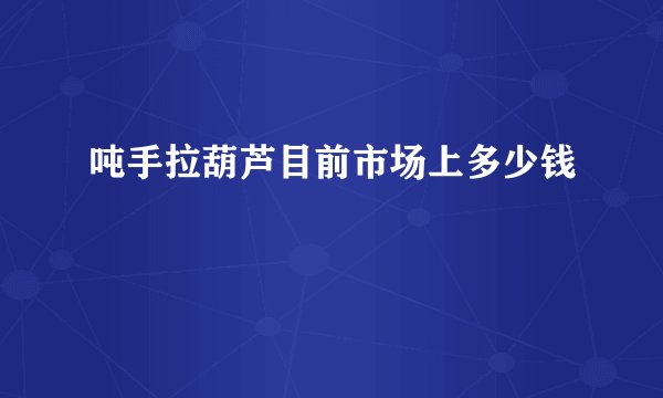 吨手拉葫芦目前市场上多少钱