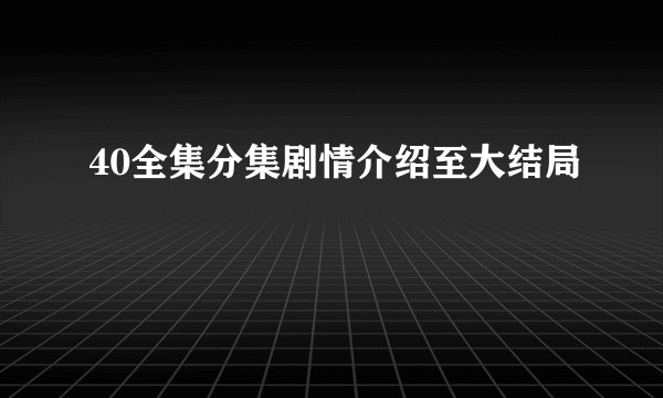 40全集分集剧情介绍至大结局