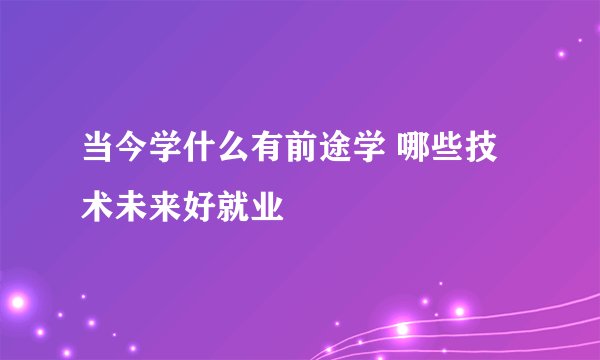 当今学什么有前途学 哪些技术未来好就业