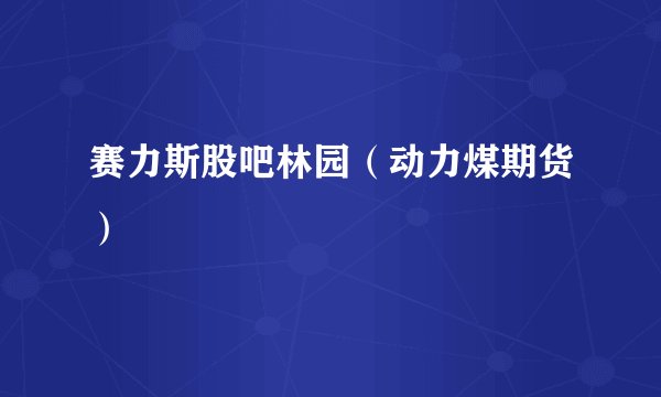 赛力斯股吧林园（动力煤期货）