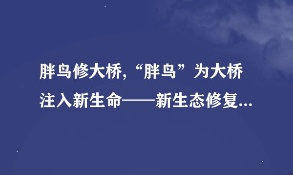 胖鸟修大桥,“胖鸟”为大桥注入新生命——新生态修复工程称赞不断