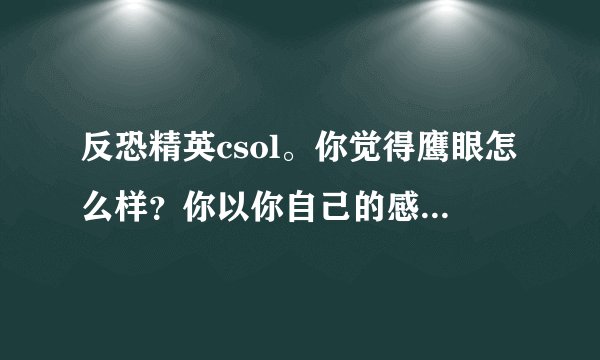 反恐精英csol。你觉得鹰眼怎么样？你以你自己的感觉评测一下。-_-#