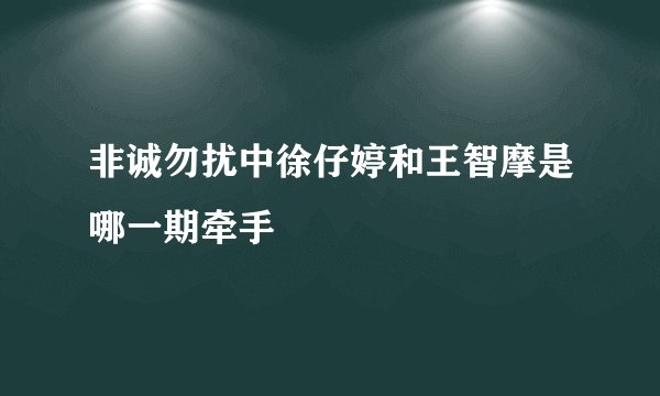 非诚勿扰中徐仔婷和王智摩是哪一期牵手