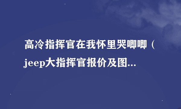 高冷指挥官在我怀里哭唧唧（jeep大指挥官报价及图片2022款大指挥官售价23.98万起）
