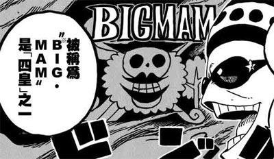 BIG·MAM海贼团的介绍