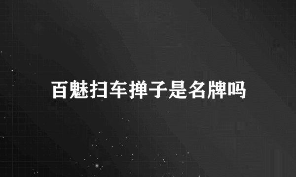 百魅扫车掸子是名牌吗