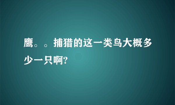 鹰。。捕猎的这一类鸟大概多少一只啊?
