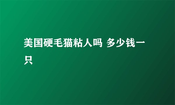 美国硬毛猫粘人吗 多少钱一只