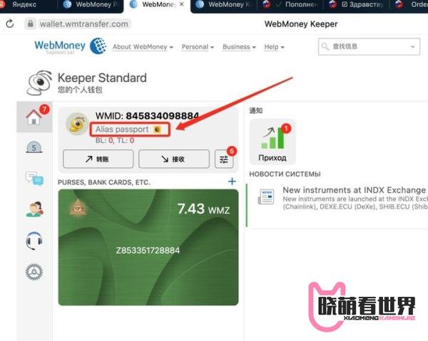 不认证webmoney,能用jaax兑换wmz吗?