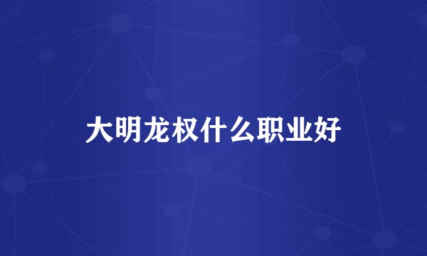 大明龙权什么职业好
