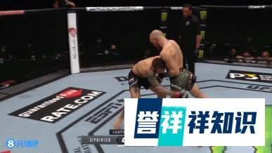 嘴炮王朝落幕！“钻石”普瓦里尔两回合TKO复仇康纳-麦格雷戈