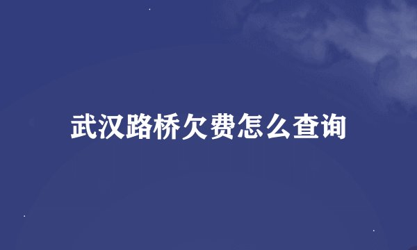 武汉路桥欠费怎么查询