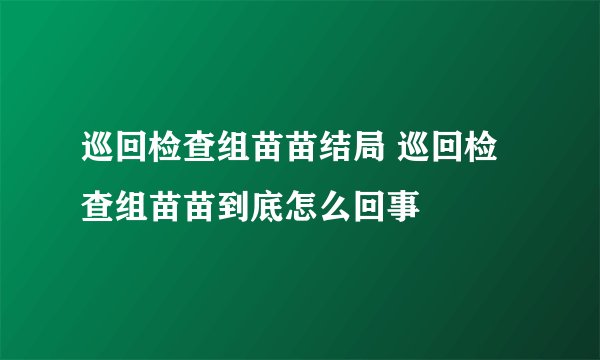 巡回检查组苗苗结局 巡回检查组苗苗到底怎么回事