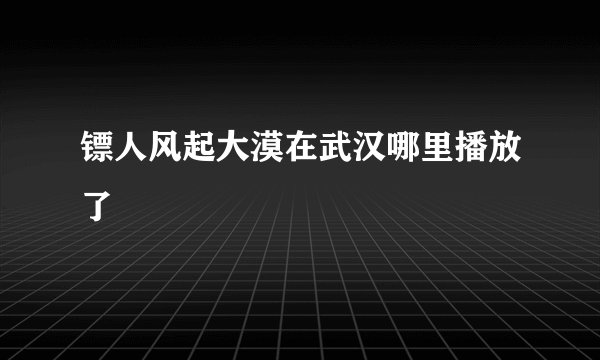 镖人风起大漠在武汉哪里播放了