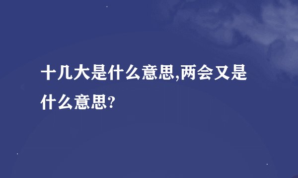 十几大是什么意思,两会又是什么意思?