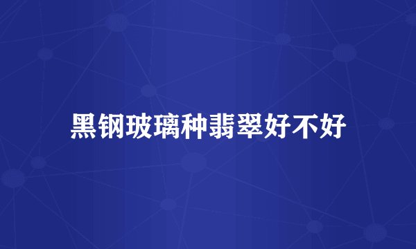 黑钢玻璃种翡翠好不好