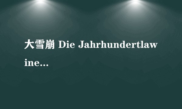 大雪崩 Die Jahrhundertlawine剧情介绍