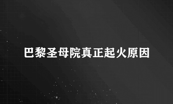 巴黎圣母院真正起火原因