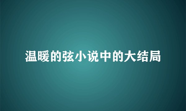 温暖的弦小说中的大结局