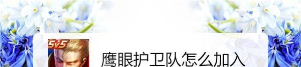 鹰眼护卫队怎么加入