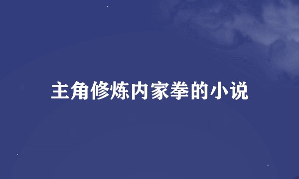 主角修炼内家拳的小说