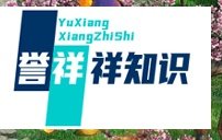 征途2桃花源寻宝攻略