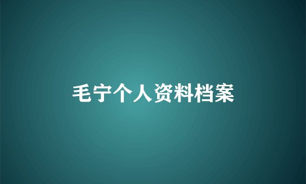 毛宁个人资料档案