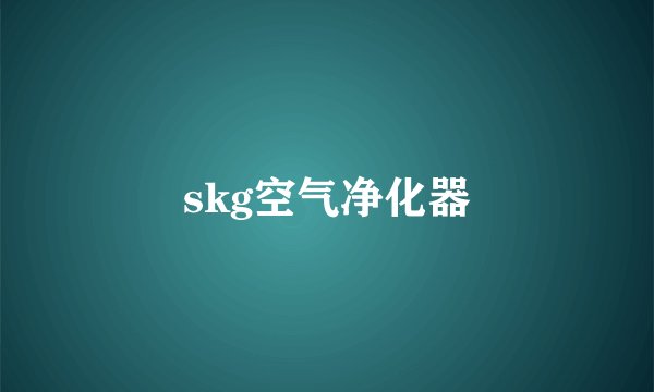 skg空气净化器