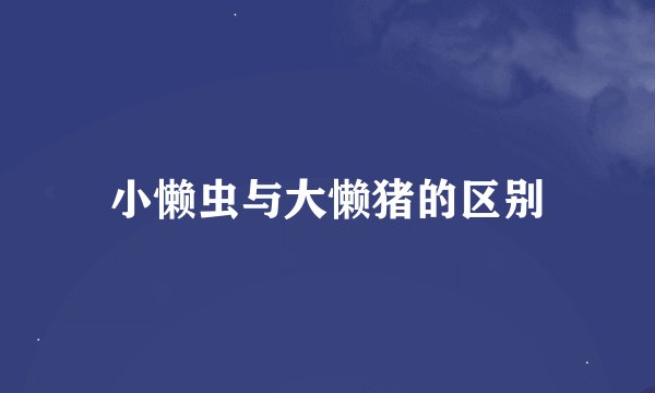 小懒虫与大懒猪的区别