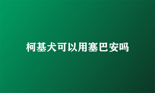 柯基犬可以用塞巴安吗