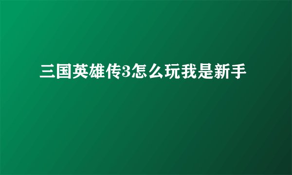 三国英雄传3怎么玩我是新手