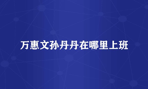 万惠文孙丹丹在哪里上班