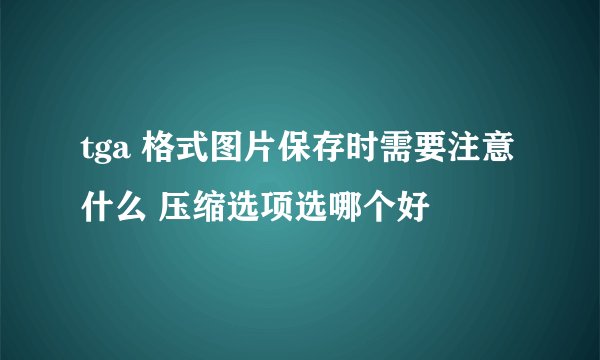 tga 格式图片保存时需要注意什么 压缩选项选哪个好