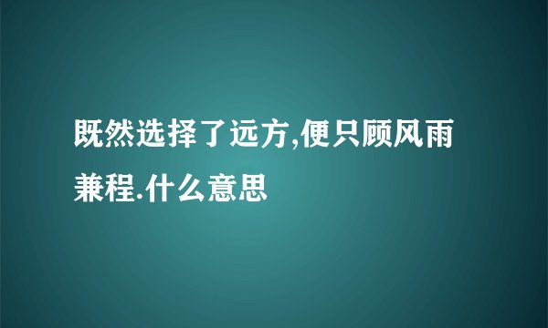 既然选择了远方,便只顾风雨兼程.什么意思
