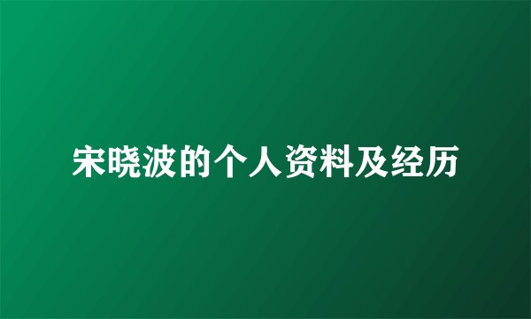 宋晓波的个人资料及经历