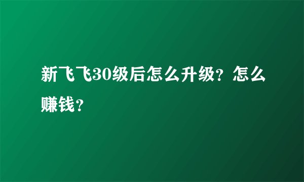 新飞飞30级后怎么升级？怎么赚钱？
