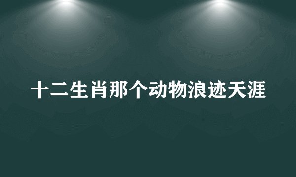 十二生肖那个动物浪迹天涯