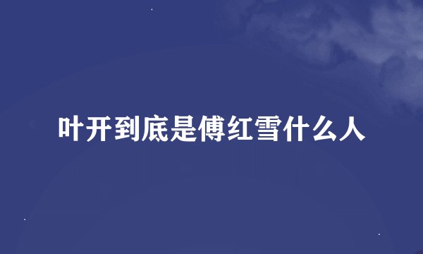 叶开到底是傅红雪什么人