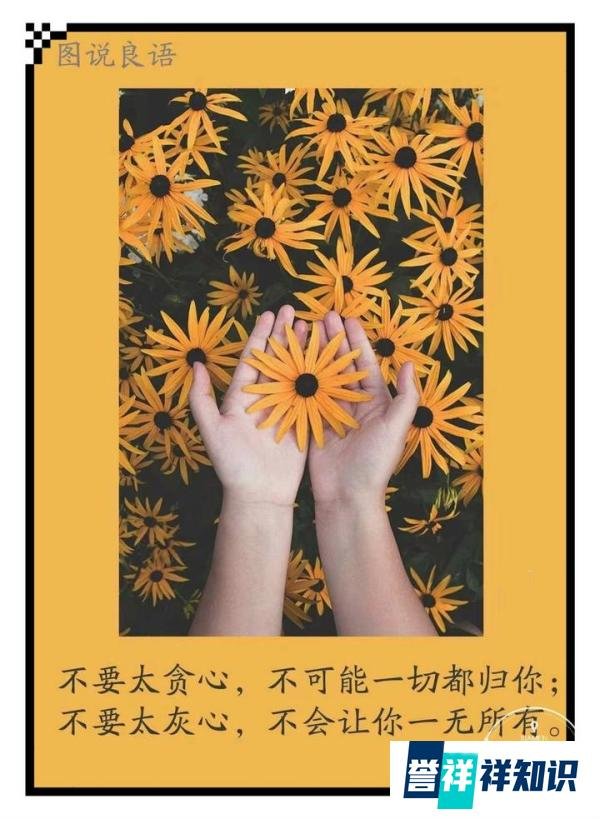李逵日记：凑巧的缘分