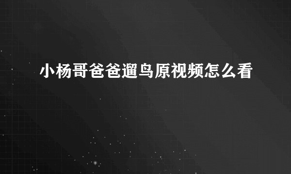 小杨哥爸爸遛鸟原视频怎么看