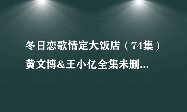 冬日恋歌情定大饭店（74集）黄文博&王小亿全集未删减高清版免费下载