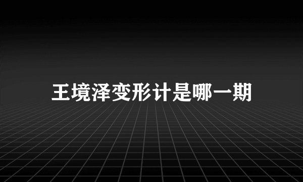 王境泽变形计是哪一期