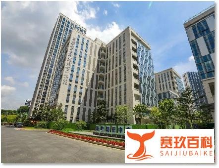 西电集成电路情况分享-广州方向