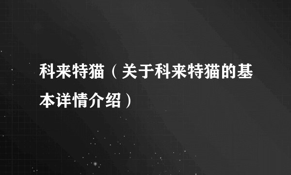 科来特猫（关于科来特猫的基本详情介绍）