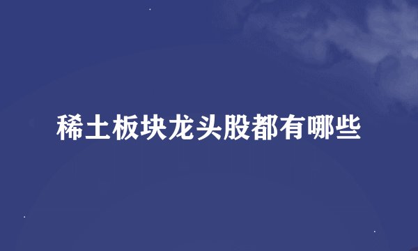 稀土板块龙头股都有哪些