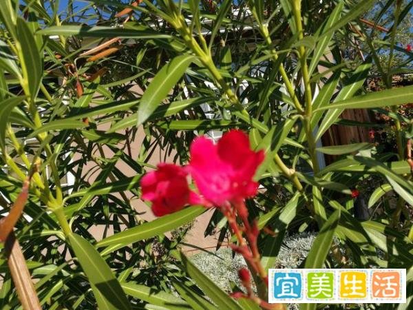 有一些95后标榜找工作不为工资更关注自我实现 你认为是真的吗？