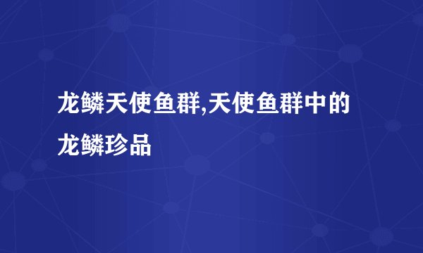 龙鳞天使鱼群,天使鱼群中的龙鳞珍品