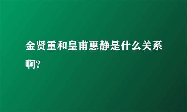 金贤重和皇甫惠静是什么关系啊?